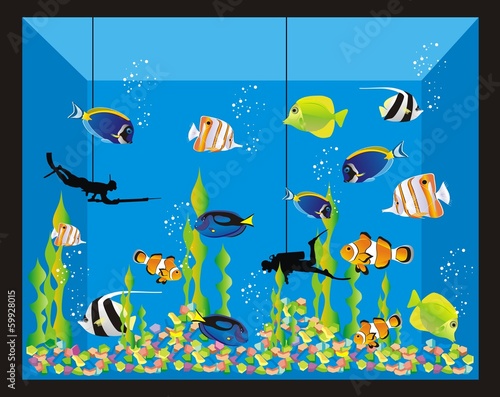 Acuario_4