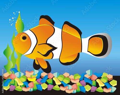 Acuario_5