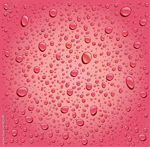 pink rose water droplets background