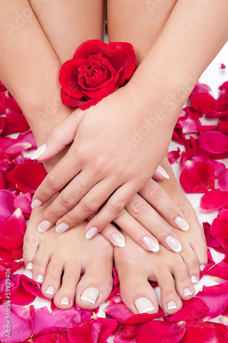 Beautiful woman's hands and legs with red rose petals