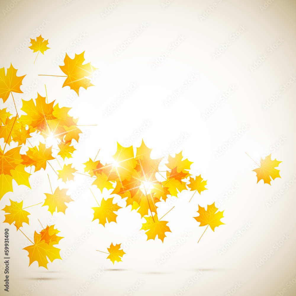 autumn background autumn background