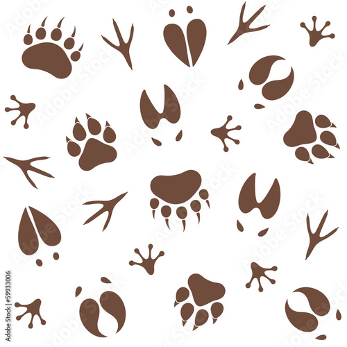 Paw Print. Pattern