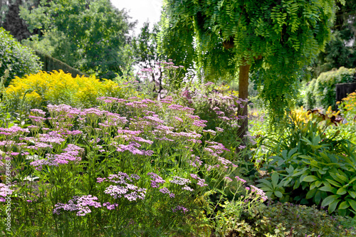 Fototapeta Naklejka Na Ścianę i Meble -  Colorful landscape formal garden.