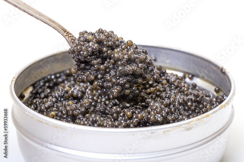 Black caviar in spoon from metal can, high angle