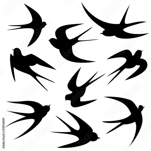 Schwalben Tattoo Vorlage Vektor Silhouette