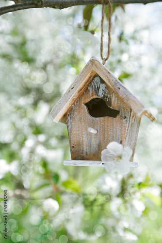 Little Birdhouse in Spring with blossom cherry flower sakura