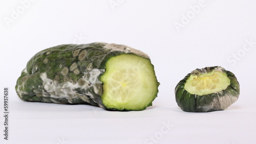 Faule Gurke