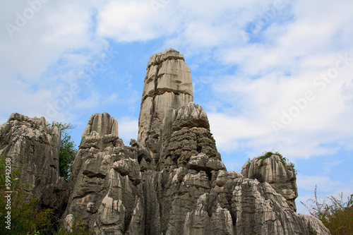 Shi Lin Stone forest national park. Yunnan. China.