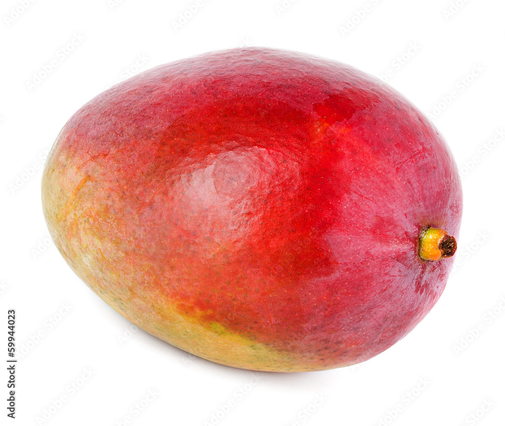 mango isolated mango isolated