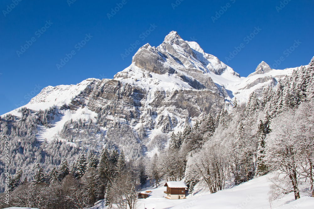 Winter in alps Winter in alps
