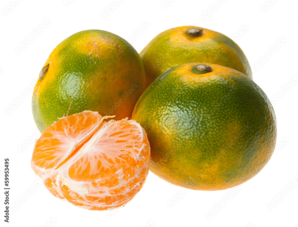 Gokuwase unshiu, earliest of Japanese satsuma tangerines with orange