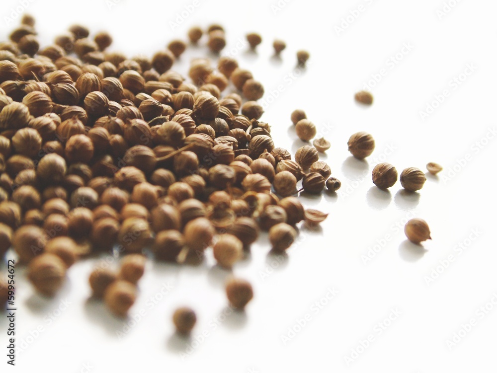 coriander seeds isolated on white background coriander seeds isolated on white background