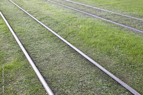Railroad rail in the grass