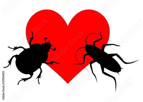 Love insect