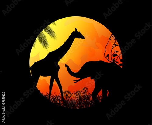 elephants and giraffes in the wild