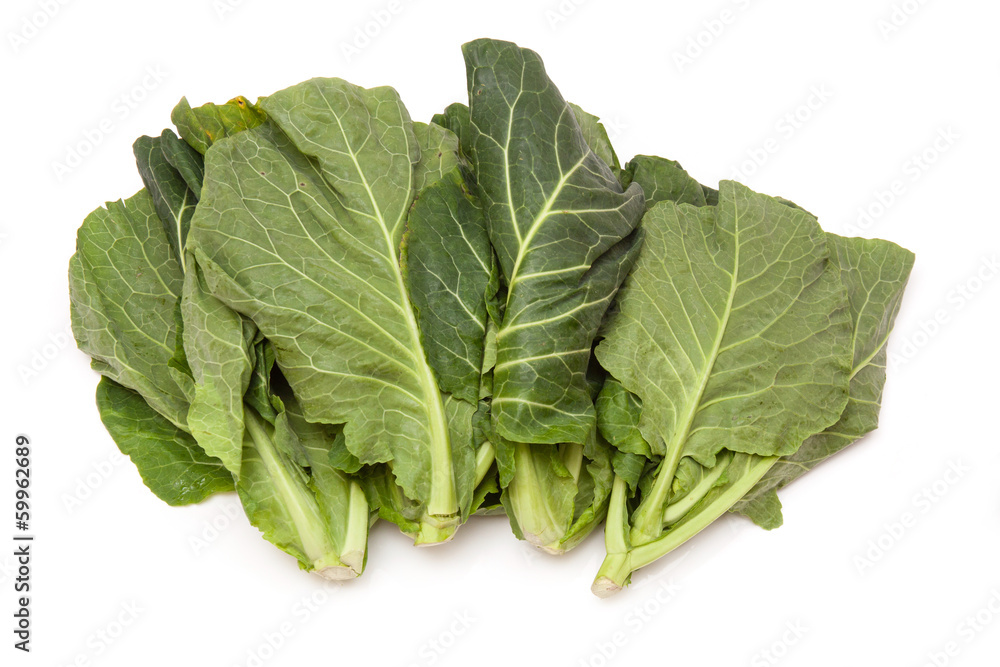 Spring Greens (Brassica oleracea ) isolated on a white studio ba Spring Greens (Brassica oleracea ) isolated on a white studio ba