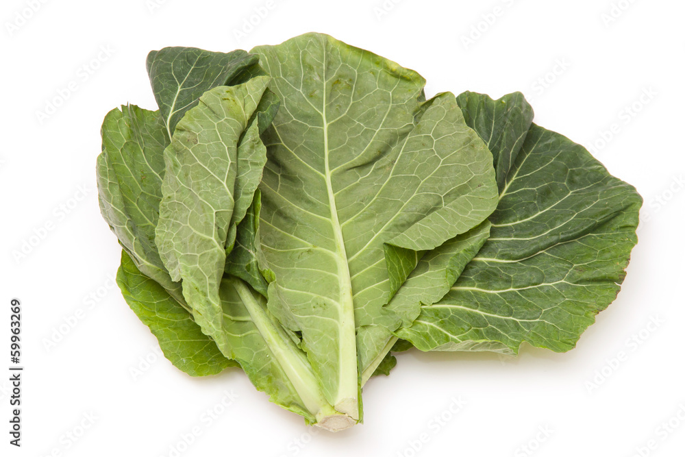 Spring Greens (Brassica oleracea ) isolated on a white studio ba Spring Greens (Brassica oleracea ) isolated on a white studio ba