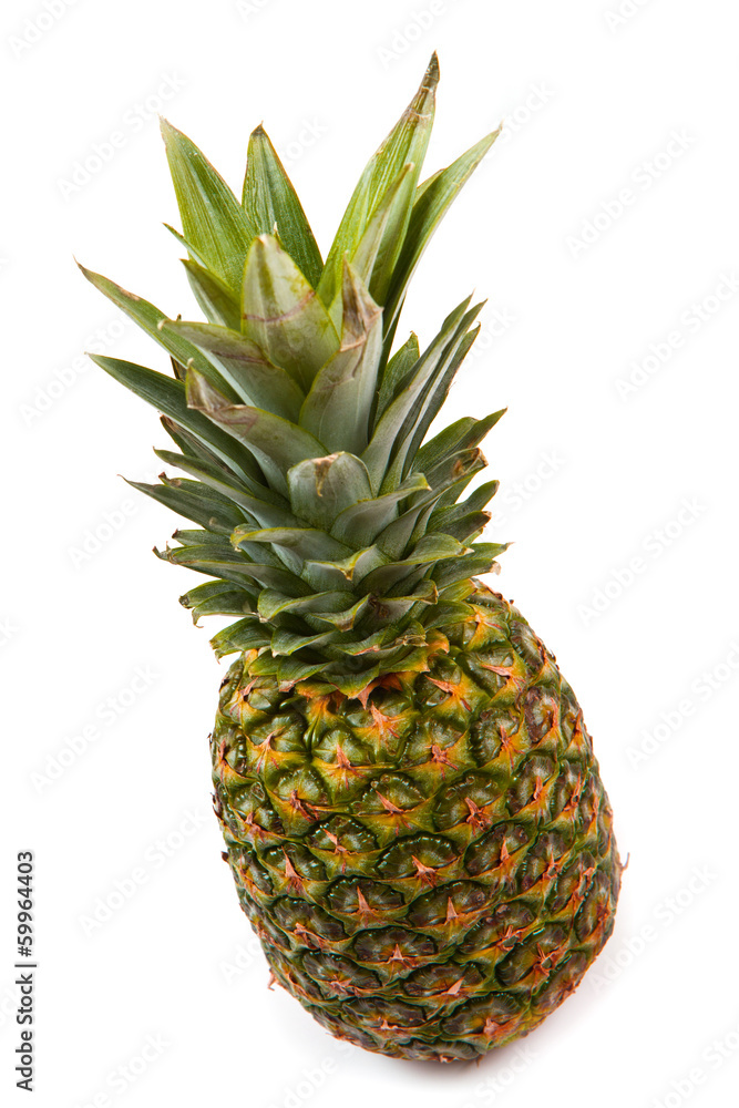 Fototapeta premium ananas