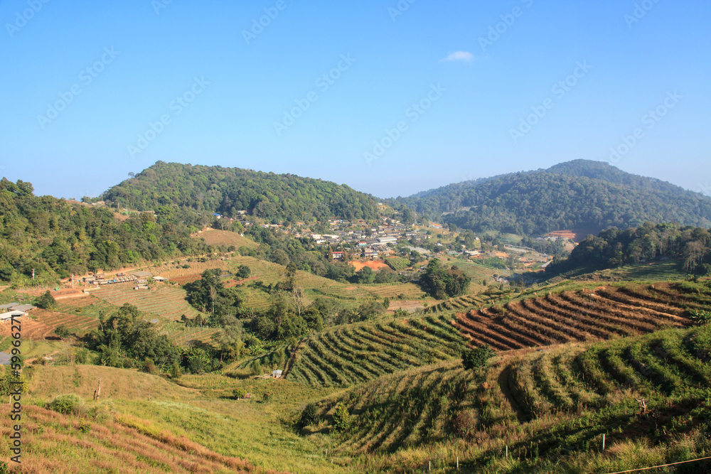 Fototapeta premium Wiejskie i górskie