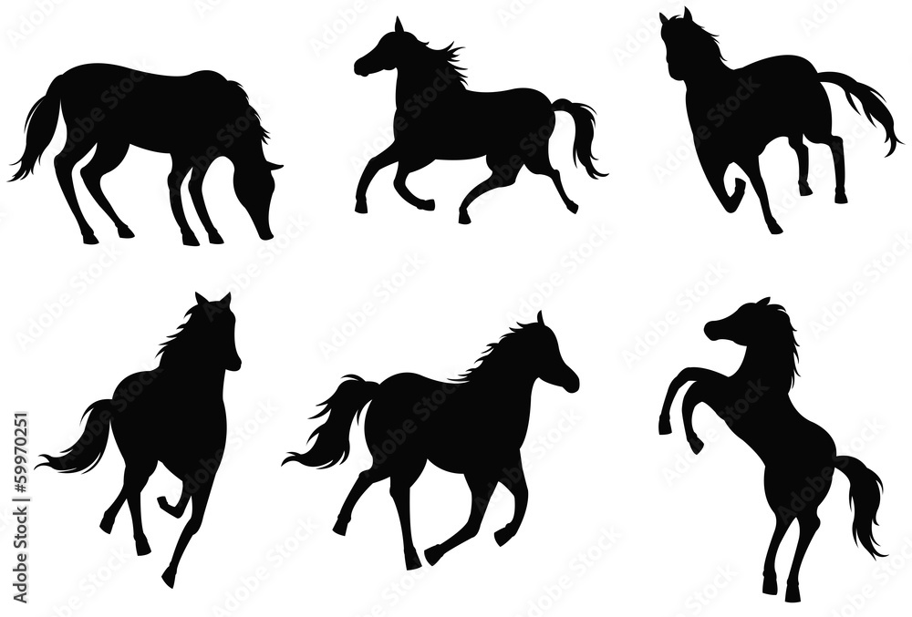 Sets of silhouette horses, create by vector