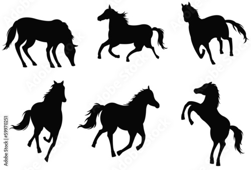 Sets of silhouette horses  create by vector