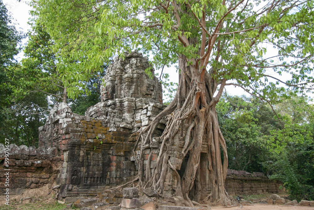 Overgrown Ruins - Cambodia