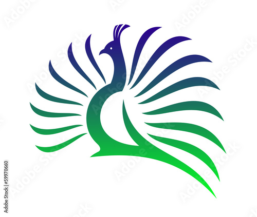 Beautiful stylised vector peacock