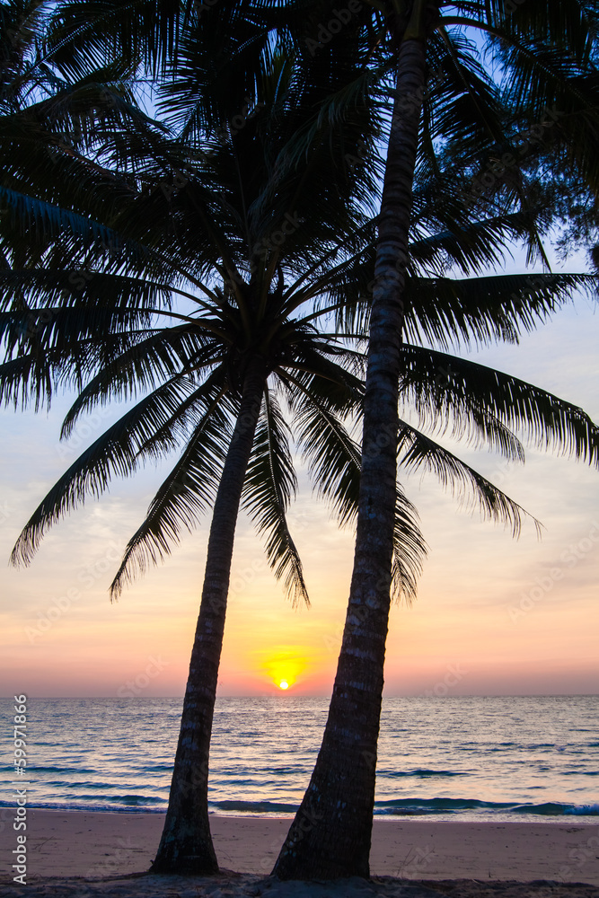 Beautiful tropical sunset with palm trees. Tropical beach.  palm