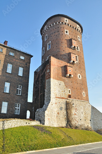 Wawel Royal Castle #59977414