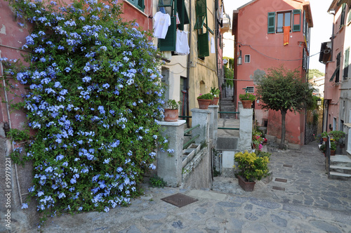 Fototapeta Naklejka Na Ścianę i Meble -  Gasse in Portovenere, Italien