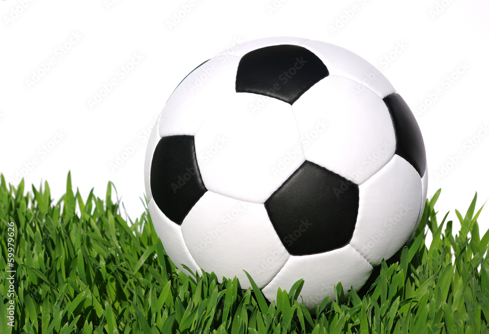soccer ball soccer ball
