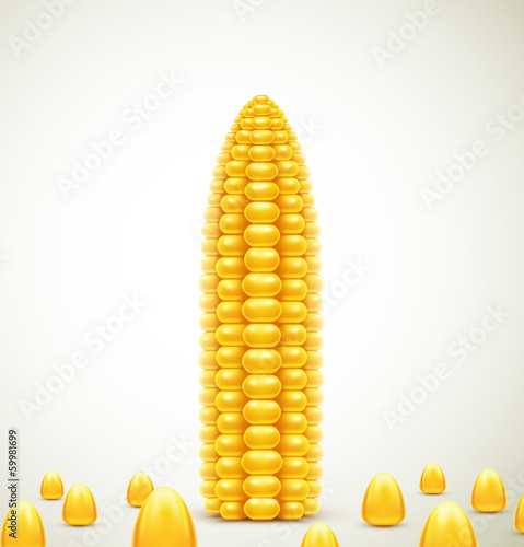 Corn background