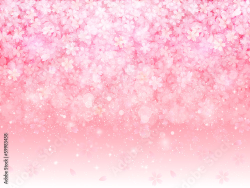 桜　さくら　背景
