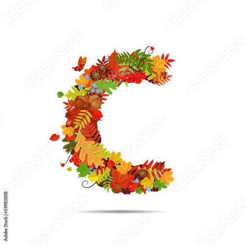 Letter from autumn colorful leaves C