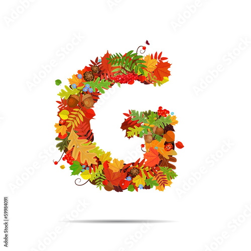 Letter from autumn colorful leaves G