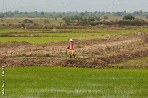 Fototapeta Naklejka Na Ścianę i Meble -  Woman at rice fields in Vietnam