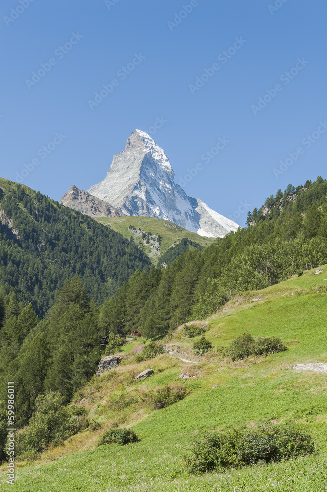 Zermatt, Wallis, Schweizer Alpen, Matterhorn, Furi, Schweiz