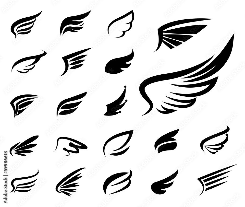 Wings vector set. Wings vector set.