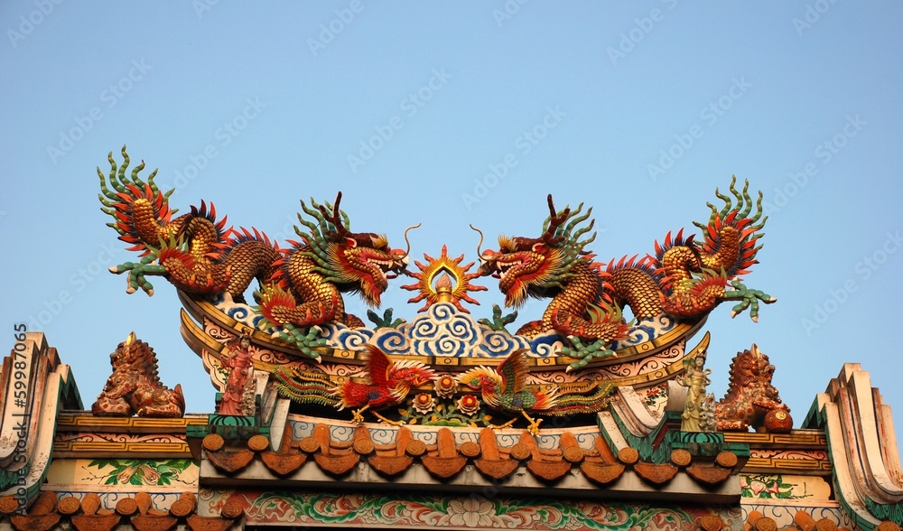 Fototapeta premium dragon