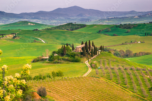 Italian Landscape, Tuscany