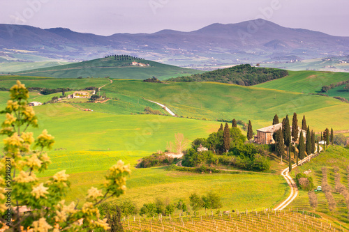 Italian Landscape, Tuscany