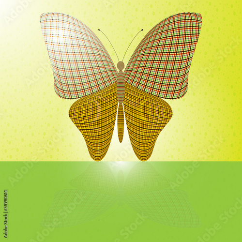 butterfly on the wall and its reflection on a horizontal surface