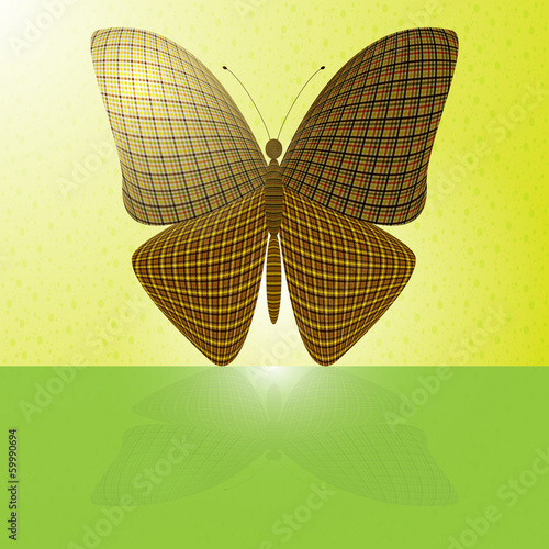 butterfly on the wall and its reflection on a horizontal surface