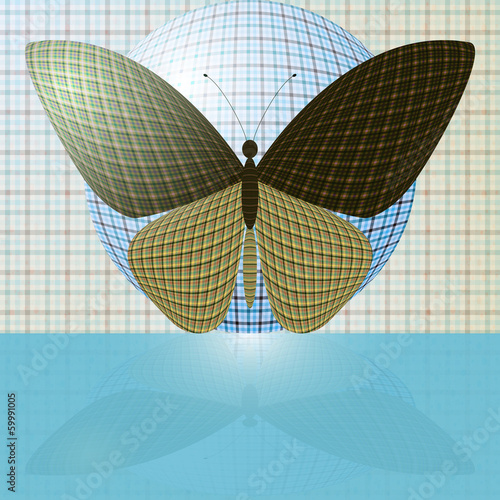butterfly on the ball