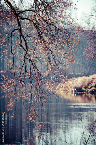 Autumn time in Park Swierklaniec, Poland. photo