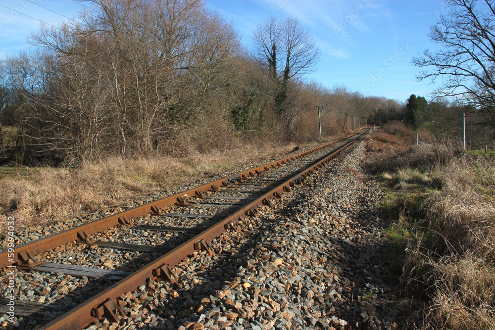 Fototapeta premium Une voie ferrée.
