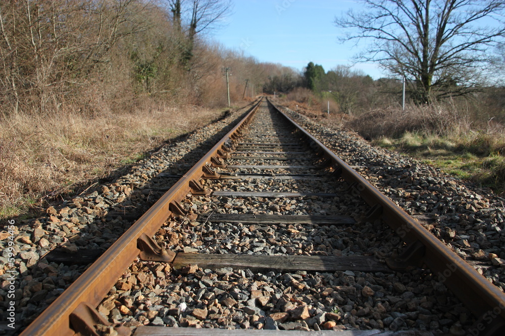 Fototapeta premium Une voie ferrée.