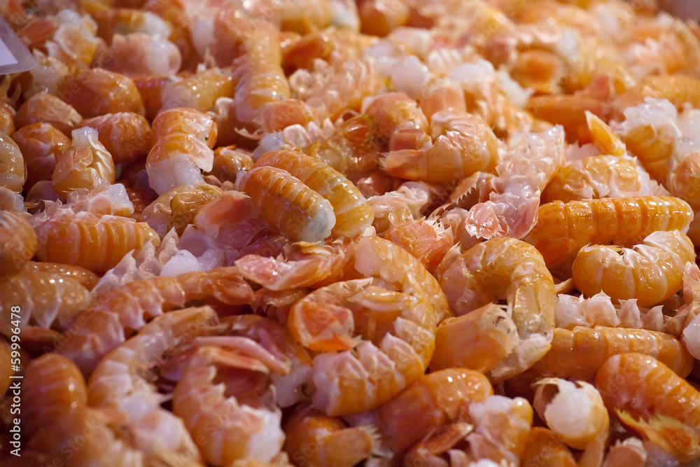 prawns prawns