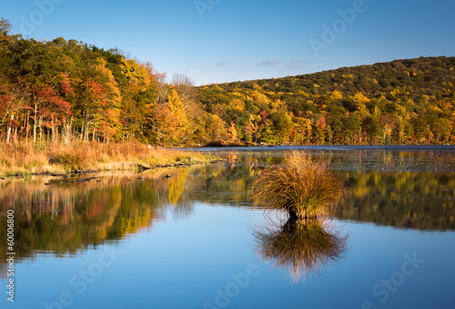 Fall colors reflected in Silver Mine Lake (NY)
