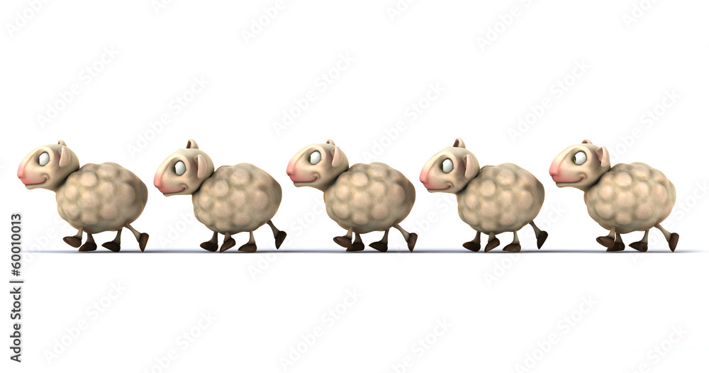 Foto Sheep